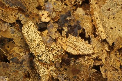 Precious metal scrap